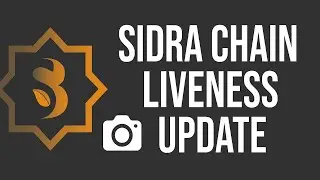Sidra Chain Liveness Update 