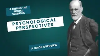 Psychological Perspectives Explained | A Quick Overview
