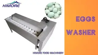 Mini Egg Washing Machine Egg Washer