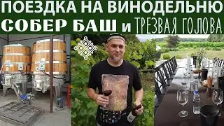 Экскурсия на Собер Баш. Вино Трезвая Голова и реклама колбасы.