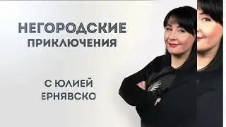 Негородские приключения. Шаблыкино.
