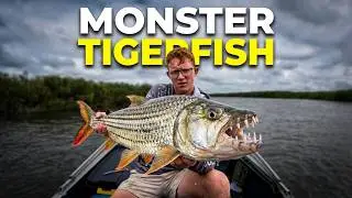 7 Days Chasing Monster Tigerfish in Africa&rsquo;s Deadliest Waters (Okavango Delta). Lions and Snakes!