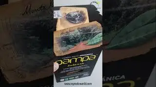 Yerba Mate Organic Certified Pampa 