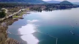 Aerial Drone Footage Lake Cowichan BC