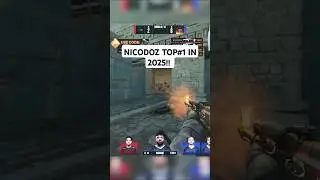 NICODOZ TOP#1 IN 2025!!