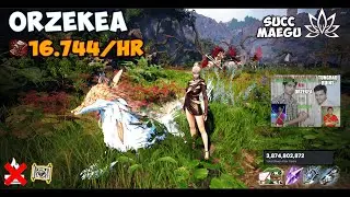 BDO | Orzekea - Succession Maegu | 16.7k Trash Lv2 NO Agris