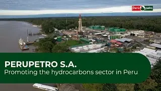Main functions of PERUPETRO
