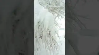 Driving in heavy Snow - Adventure Driving in Chitral #adventure #culture #snowfall #carpenter