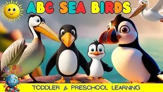 Toddler & Preschool  Learning  | ABC Sea Birds Songs for Kids 🌊🐧🦩