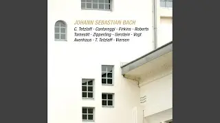 Sonata for Viola da Gamba and Harpsichord in G Minor, BWV 1029 -: I. Vivace (Live)