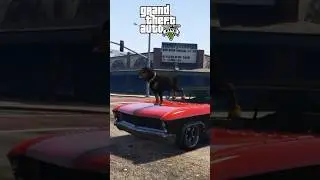 GTA V Chop saving  Franklin (3)😱 #gta #shorts