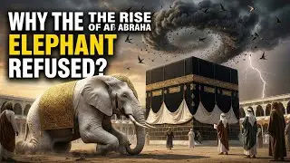How Kaaba was Saved? | The End of Abraha & Army of Elephants, Abdul Mutlib