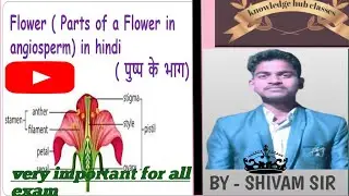 @#Structure of flower 🌺🌻🌹🌷 #knowledge hub classes SK sir#