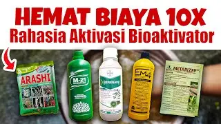 HEMAT BIAYA 10X, MAU.❓❓❓ RAHASIA AKTIVASI BIOAKTIVATOR | EM4, M21, ARASHI, SERENADE, METARIZEP