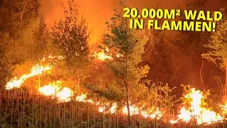 [GROßER WALDBRAND IN RATINGEN] - 20.000m² in Vollbrand | Schnelle Brandausbreitung | Großeinsatz -