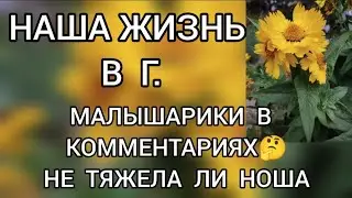Обзор‼️ Наша жизнь в Германии // Малышарики в комментариях⁉️ Не тяжела ли ноша‼️