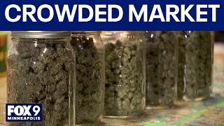 MN could see a crowded cannabis marketplace