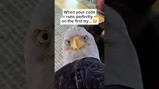 When the JavaScript code just works! #codinglife