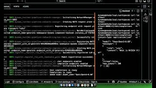 NVIDIA Dynamo SGLang Demo