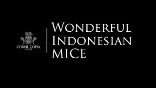 Wonderful Indonesia  MICE Meetings, Incentives, Conferences, Exhibitions - Cornucopia Events&trade;