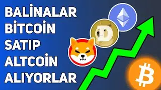 ALTCOİNLERDE BOĞA SEZONUNA HAZIR OLUN! BALİNALAR PARALARINI BİTCOİN'DEN &Ccedil;EKİP ALTCOİNLERE YATIRIYOR