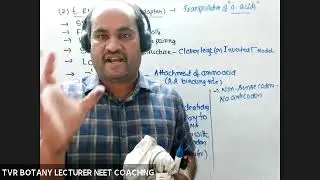 TRANSLATION AND ITS REQUIREMENTS