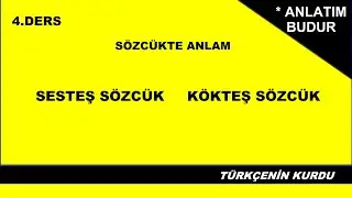 Sözcükte Anlam | Sesteş Sözcük | Kökteş Sözcük | Eş Sesli Sözcük | Ortak Kök