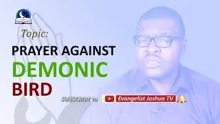 Best Prayers Against Demonic Birds - Scattering The Agenda Of Bird of Darkness