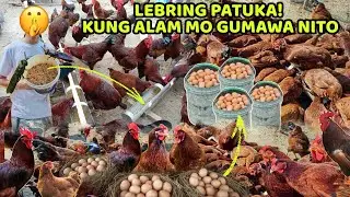 MAKAKATIPID KA SA PATUKA KUNG ALAM MO GUMAWA NITO - BSF at SUPER WORMS 