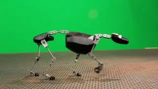 Quadruped Walk Test