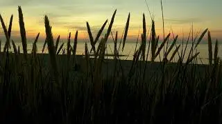 Immersive Gentle Ocean Waves Sound, Good for Relaxing.