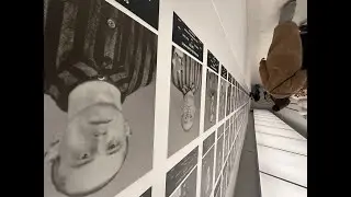 History of Aushwitz - Buirkenau immersive museum experience