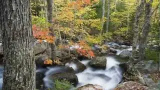 Outdoor Photo Tips with Jerry Monkman - Week 8 - Shoot Sharp