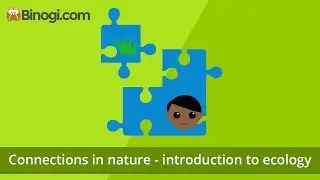 Connections in nature - introduction to ecology (Biology)