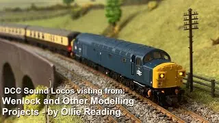 The Northampton Extension (N): DCC Sound fitted visiting locomotives.