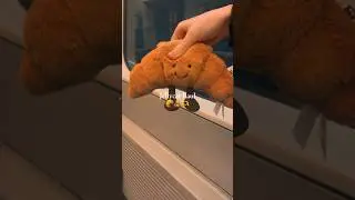 Jelly cat haul+train
