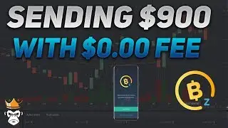 Sending $900 with $0.00 fee with BitcoinZ $BTCZ