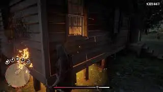RDR 2 - Trapped inside a locked door