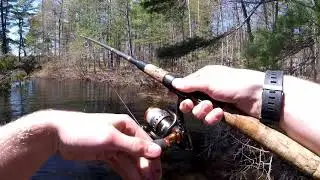 First fish of the season!