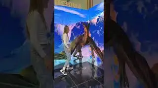 Приветствие по-американски