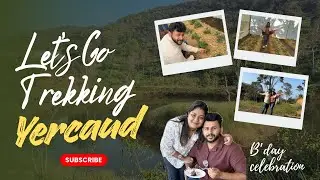 Yercaud Trekking Experience⛰️| Mount Pico Resort Coffee,Cardamom,Strawberry Estates | Vetri&rsquo;s B&rsquo;day🥳