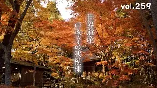 【2024東北紅葉ハンター】世界遺産 平泉 中尊寺の秋模様【2024.11.16撮影】
