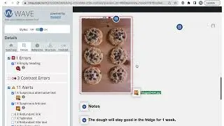 How to use the WAVE extension as a content writer