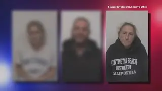 Aunt of a child locked in a dog cage pleaded guilty
