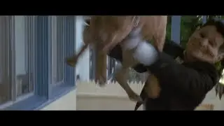 Point Break (1991) Swayze Launches Pitbull