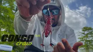 These Fish WANTED ￼the CONGO CRAW by 6th Sense Fishing