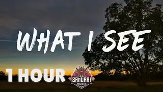 [ 1 HOUR ] LANCO - What I See (Lyrics)