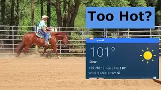 Working horses in this heat. I show you my cool down and recovery routine.