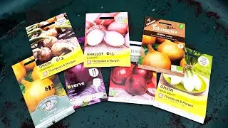 DECEMBER ~ Onion sowings #allotment #onions #gardening #allotmentdiary #allotmentlife