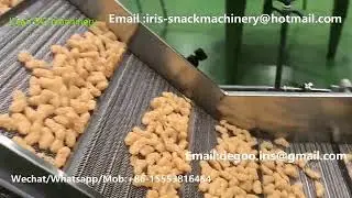Jinan DG 2d 3d frying machine/Continuous automatic fryums potato chips fryer machinery China